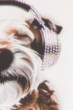 Load image into Gallery viewer, MONARI ..................Lux T Shirt with rhinestones     Puppy with earphones . 410593
